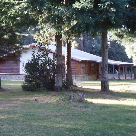 Posada Del Angel San Carlos de Bariloche Exterior foto